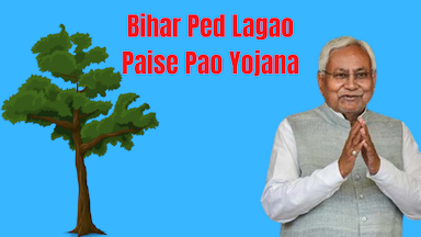 Ped Lagao Paise Pao Yojana Bihar 2022 - Know Eligibility Conditions and Application Process
