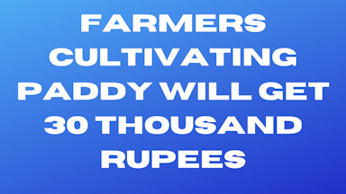 Sarkari Yojana: Farmers cultivating paddy will get 30 thousand rupees